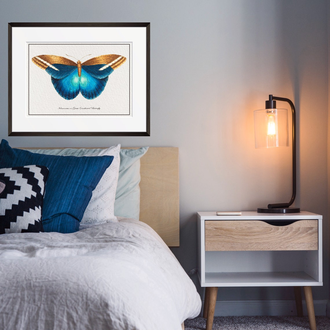 Vintage Blue Butterfly Art Print From 18th Century Natural History Publication - Image 3