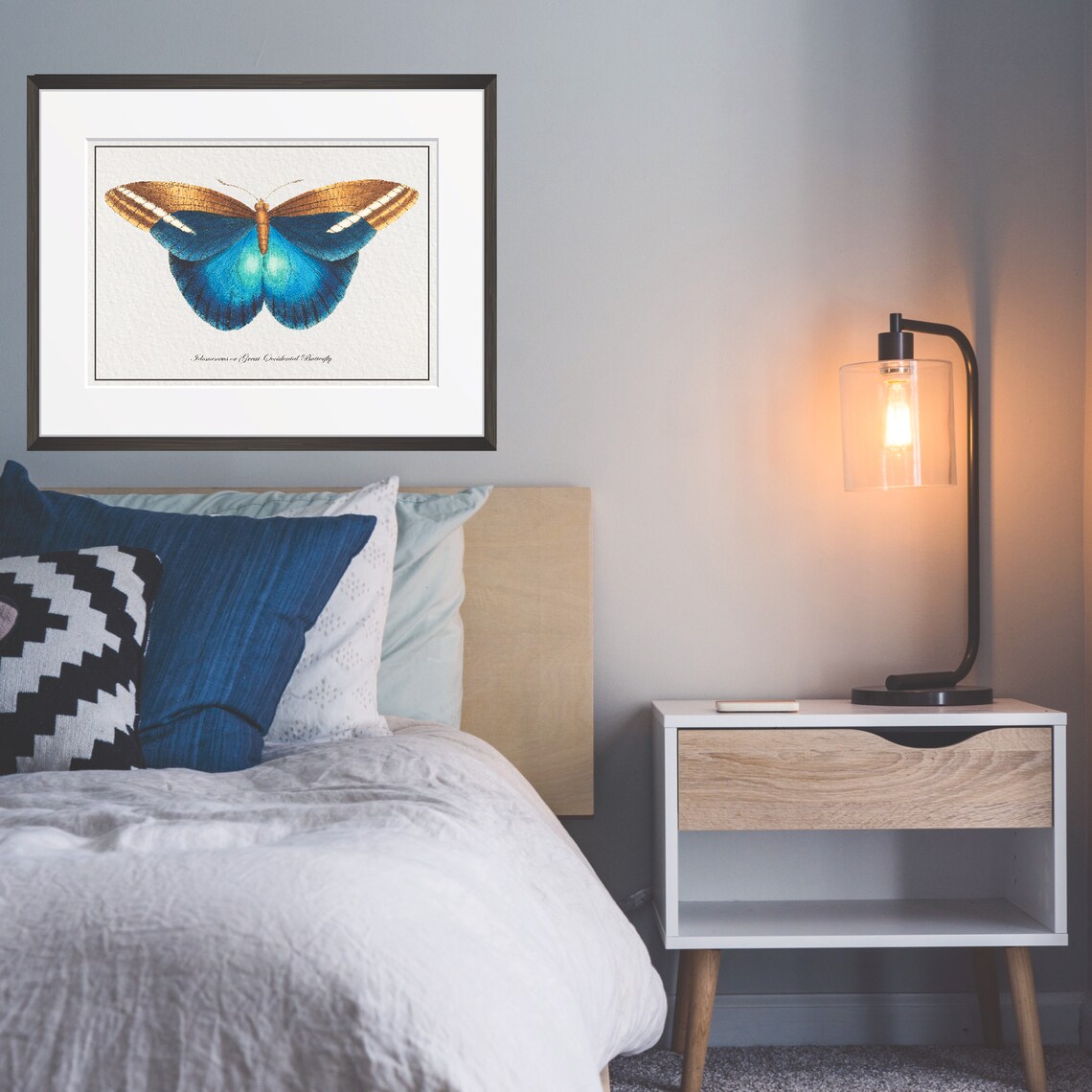 Vintage Blue Gold Butterfly Natural History Illustration Art Poster - Image 3