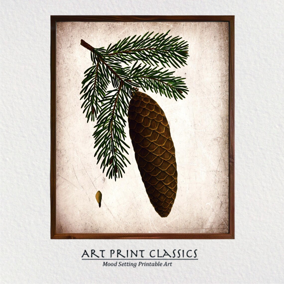 Vintage Pine Cone Rustic Nature Art Print