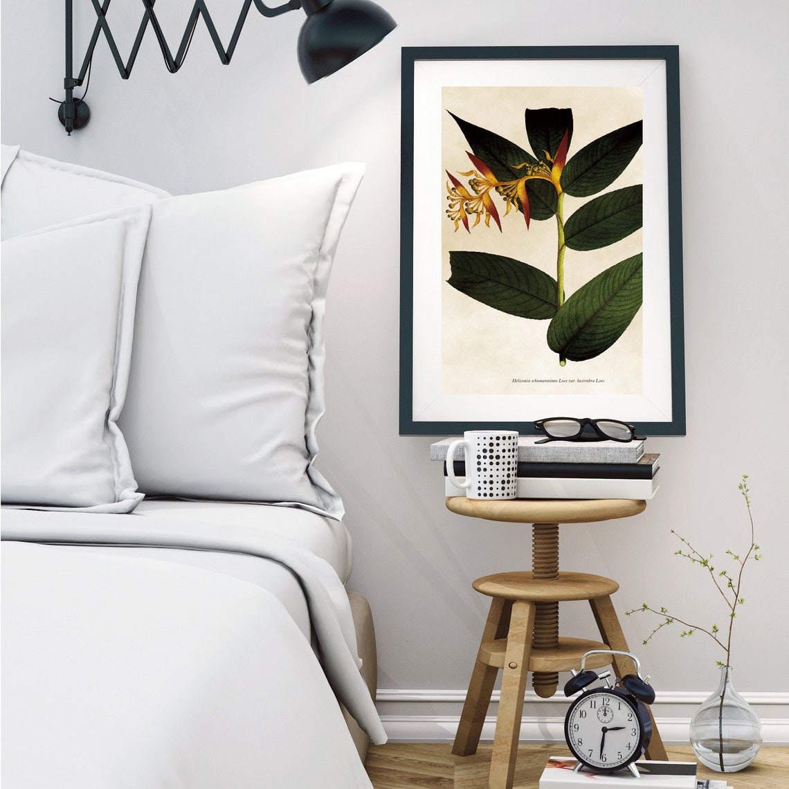 Vintage Heliconia Flower Botanical Illustration Tropical Plant Poster - Image 3