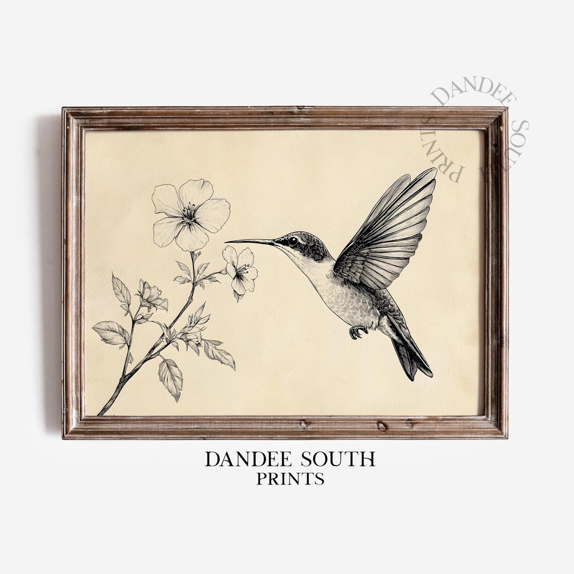 Vintage Hummingbird Sketch Botanical Bird Neutral Farmhouse Poster