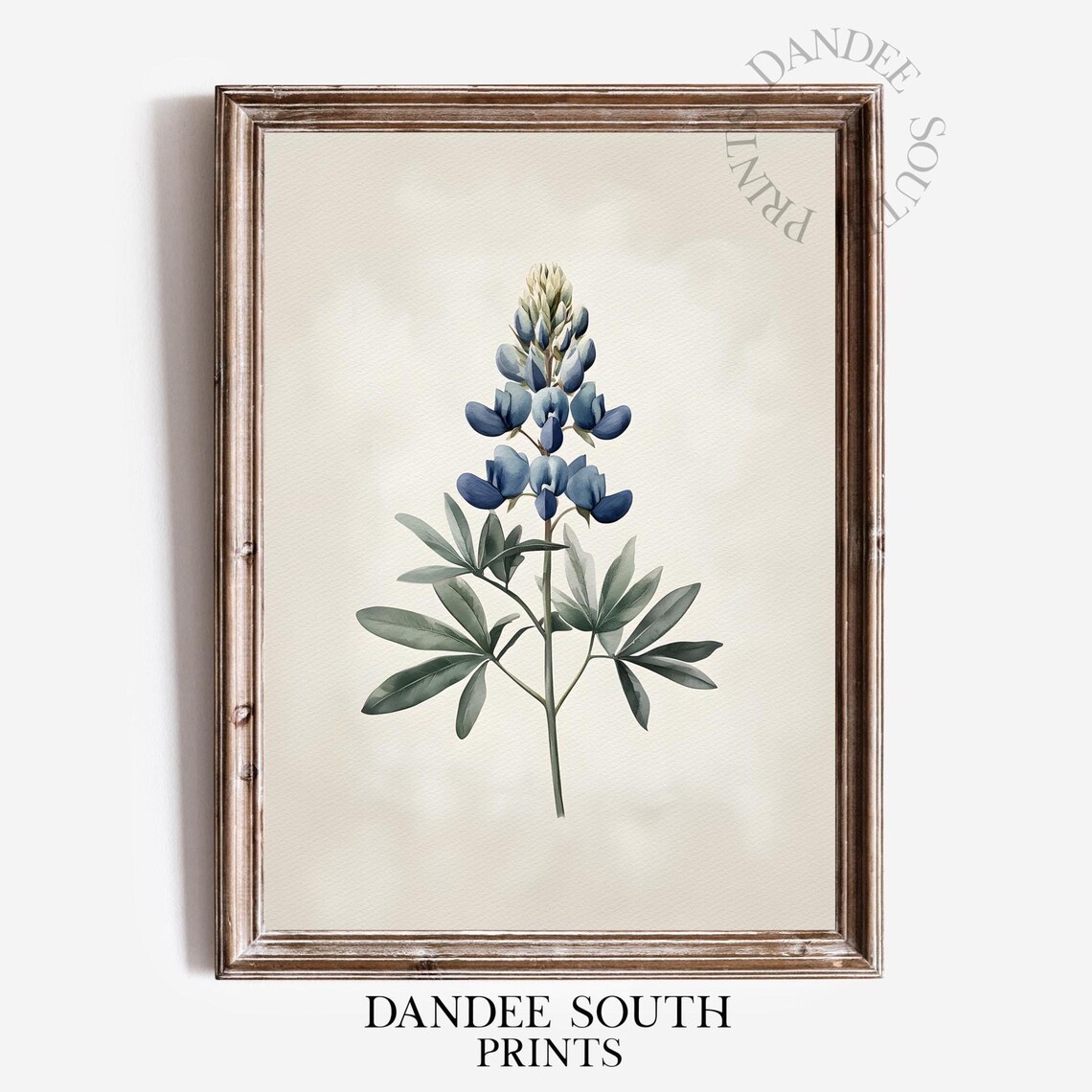 Bluebonnet Style Lupine Watercolor Botanical Floral Wall Art
