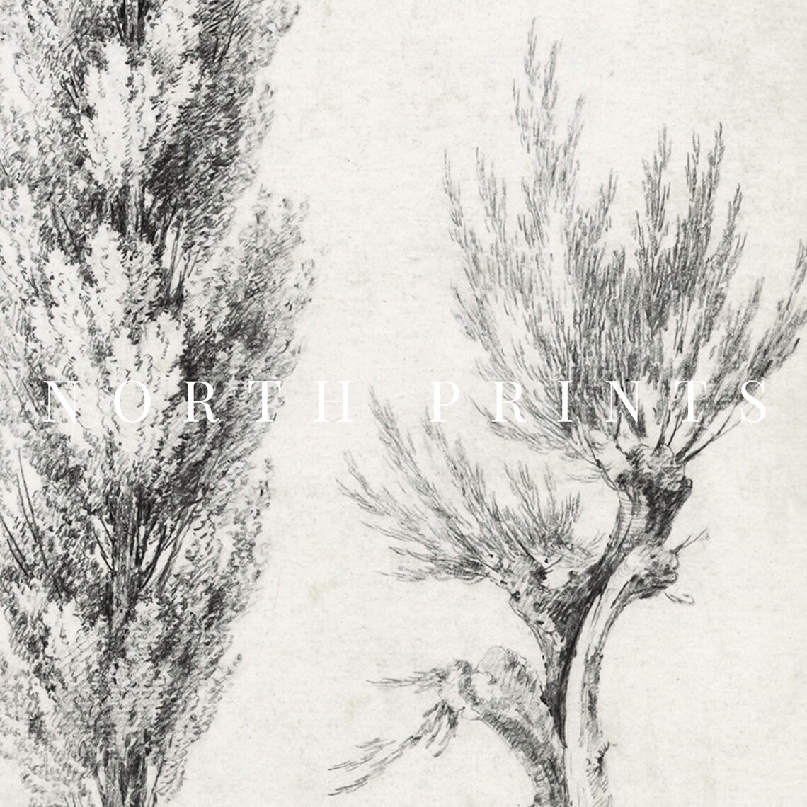 Minimalist Antique Tree Sketch, Neutral Landscape Art Print - Image 2