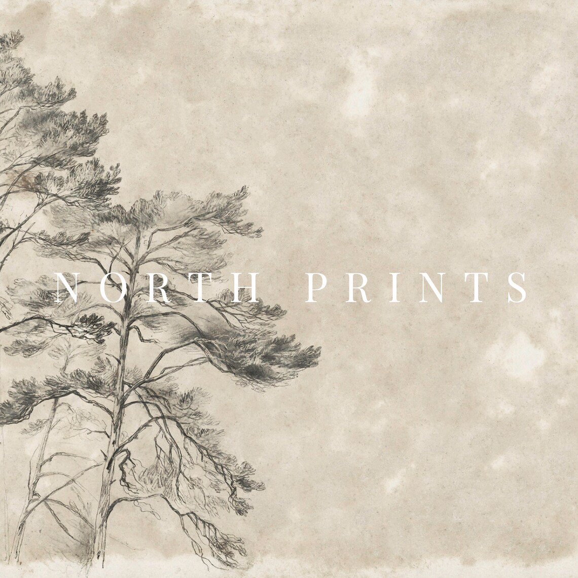 Antique Rustic Tree Sketch, Neutral Vintage Art Print - Image 2