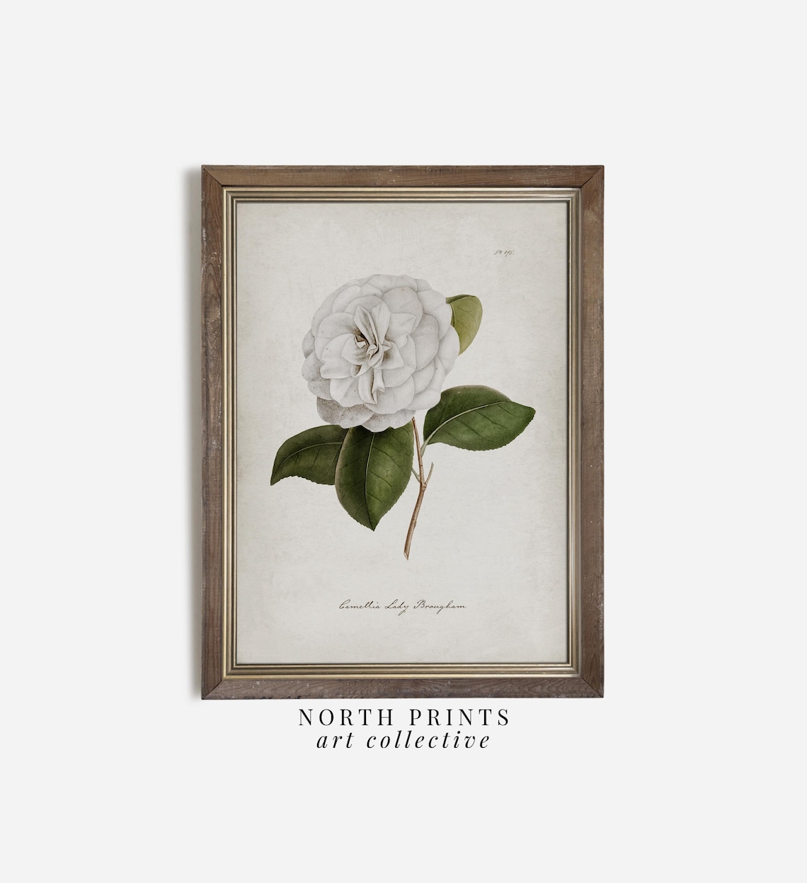 Cottagecore Botanical Flower Art Print, Bedroom Decor - Image 3