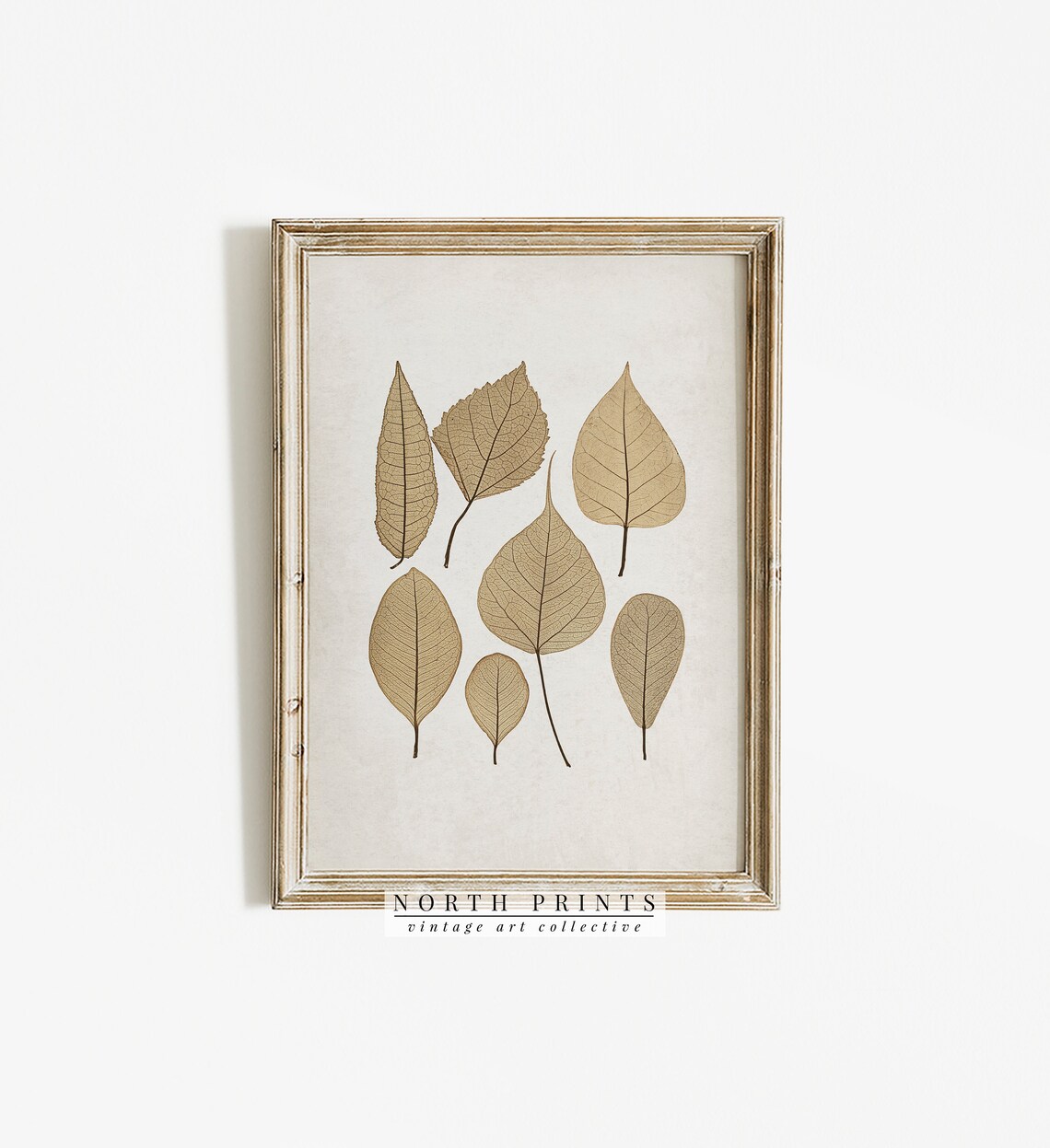 Autumn Botanical Vintage Pressed Leaf Art Print - Image 3