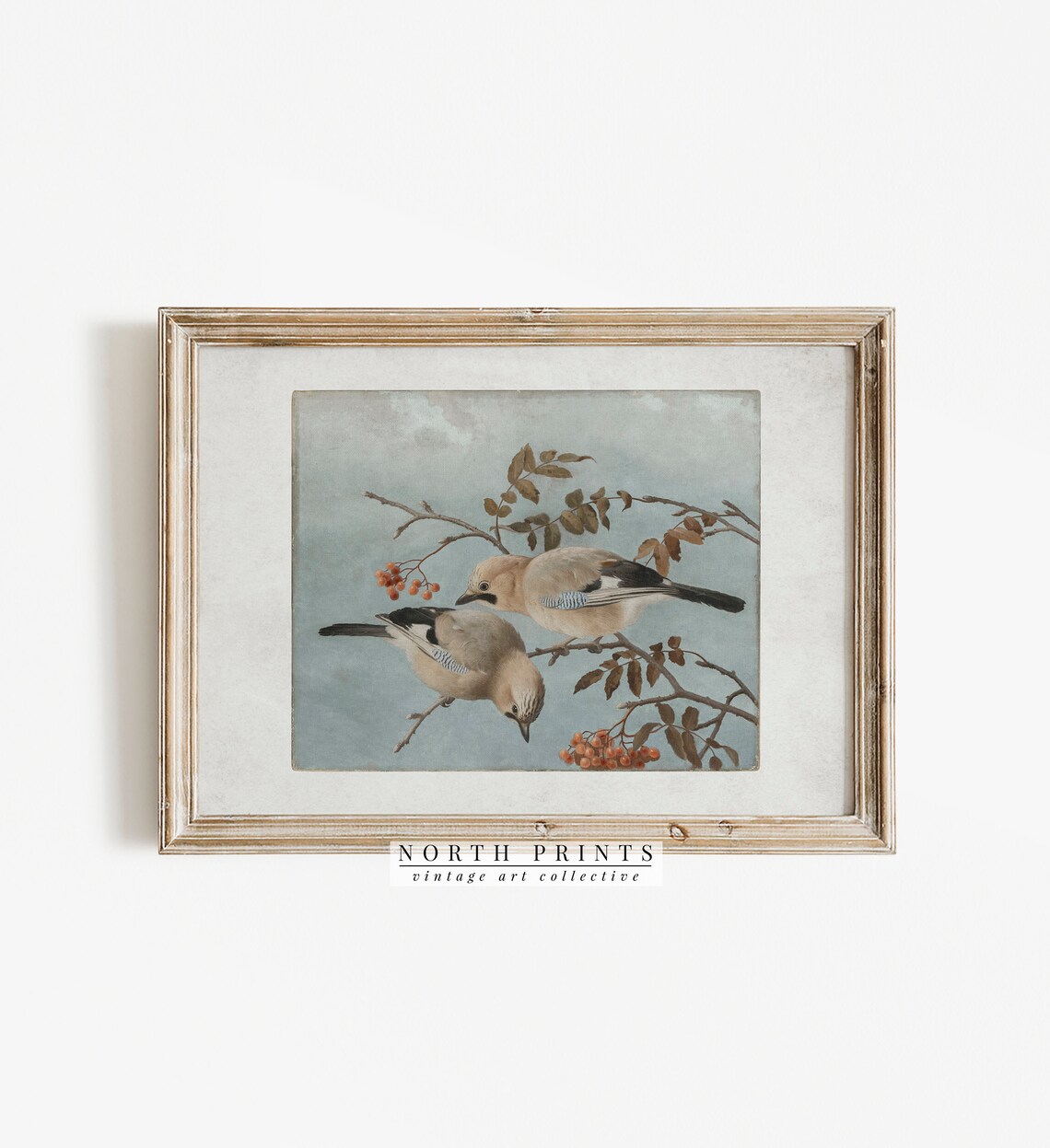 Antique Bird Art Print, Vintage Farmhouse Decor - Image 3
