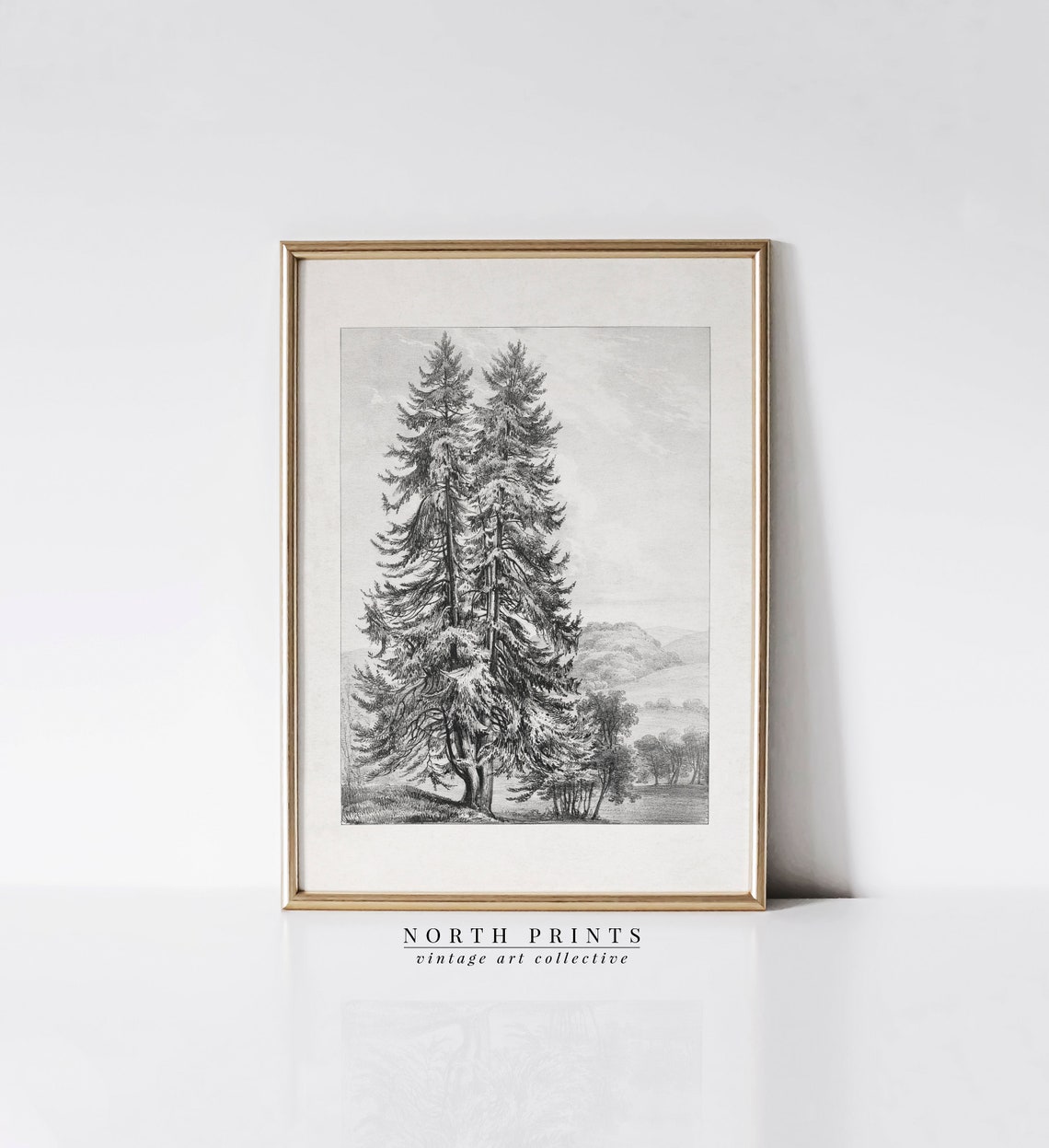 Rustic Pine Tree Landscape Vintage Sketch Wall Art North Prints Shop Sk263