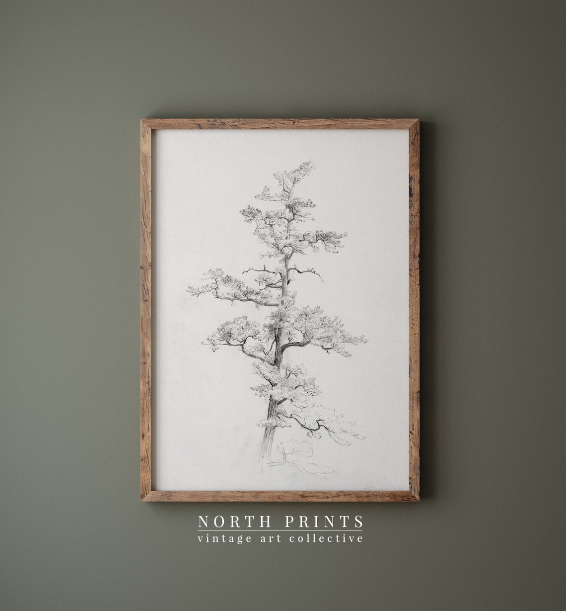 Neutral Antique Pine Tree Drawing Vintage Sketch Art Soft Decor Art 196 - Image 2