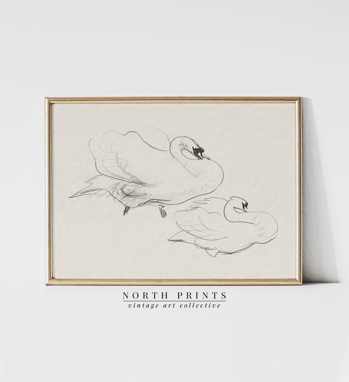 Swan Pencil Sketch Art Print, Antique Nursery Decor