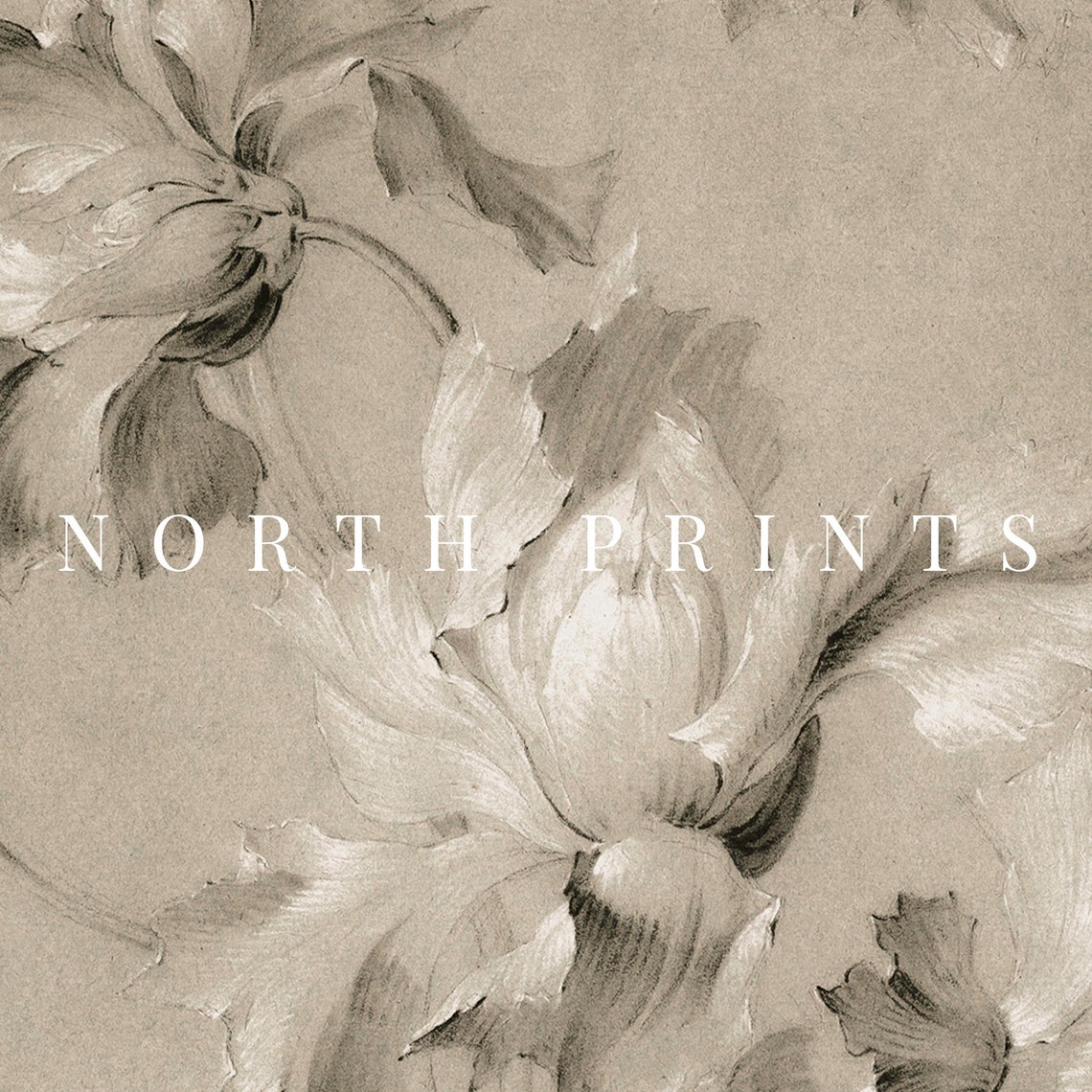 Neutral Antique Botanical Peony Sketch Vintage Floral Study Wall Art - Image 2