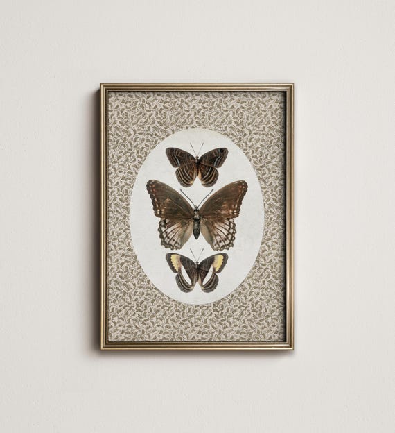 Vintage Butterfly Moth Art Print, Cottagecore Decor