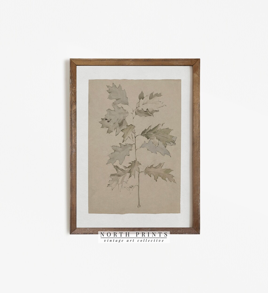 Vintage Sketch Botanical Oak Branch Drawing, Neutral Art Print