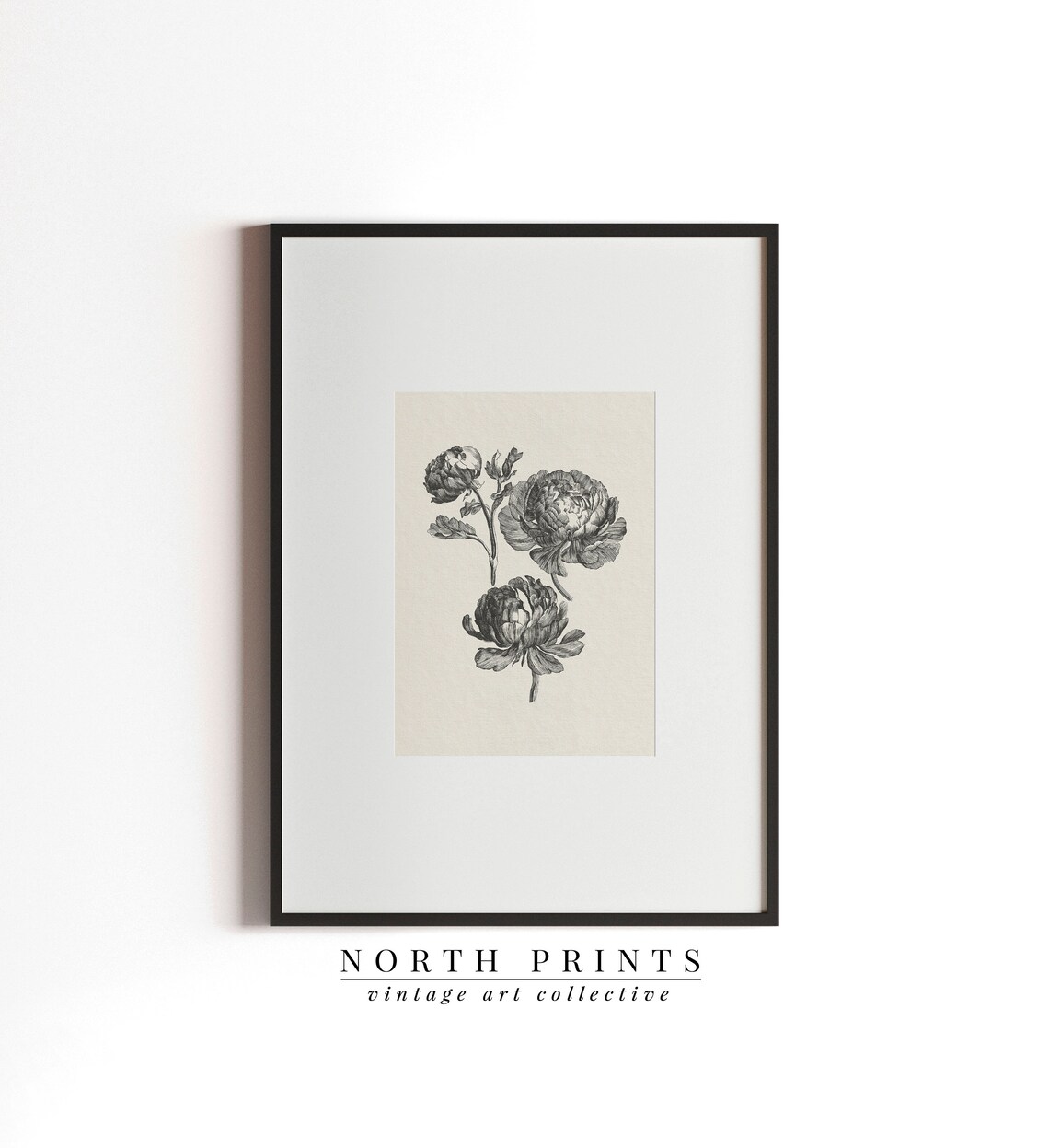 Vintage Peony Botanical Sketch, Farmhouse Kitchen Decor - Image 3