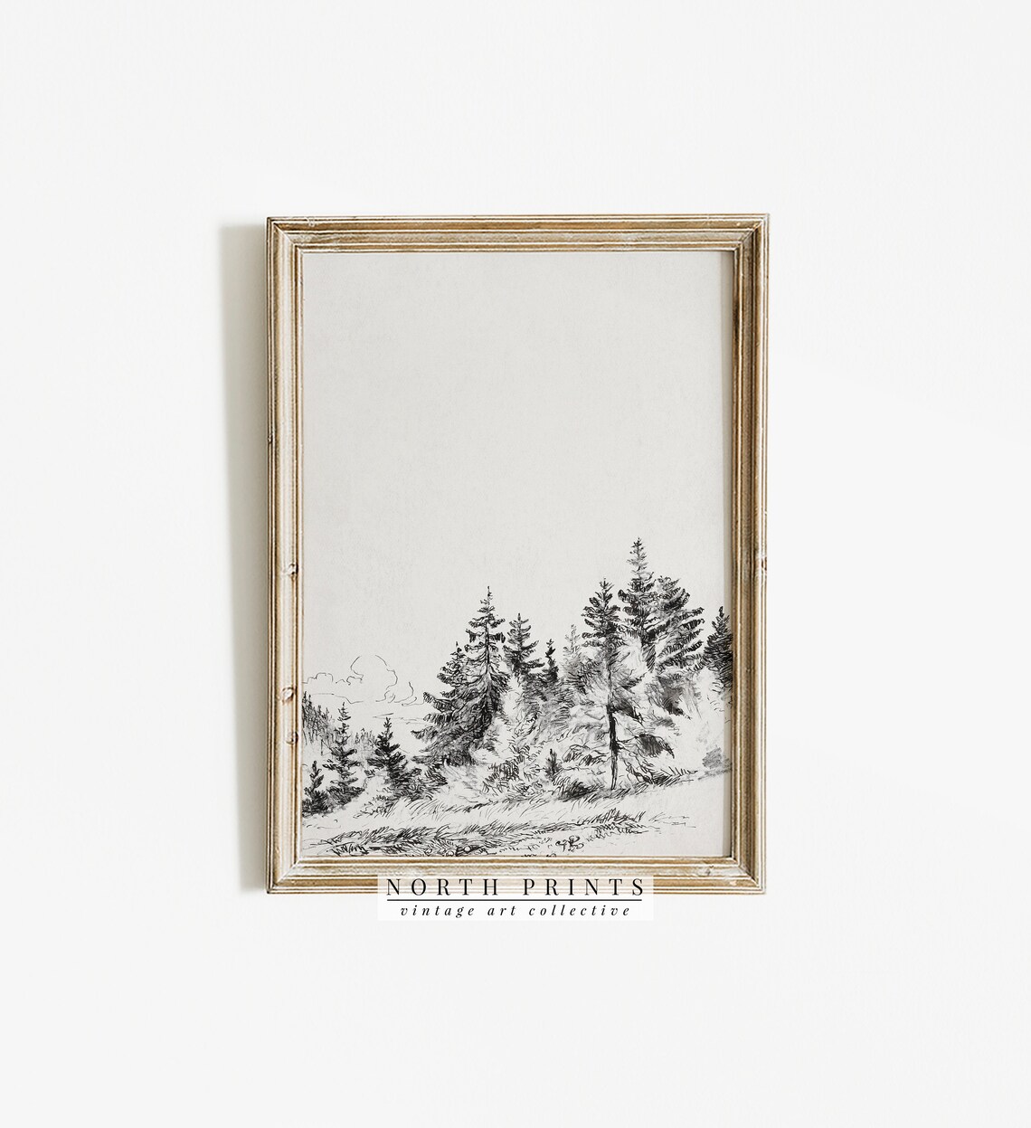 Vintage Tree Study, Forest Sketch Landscape - Image 4