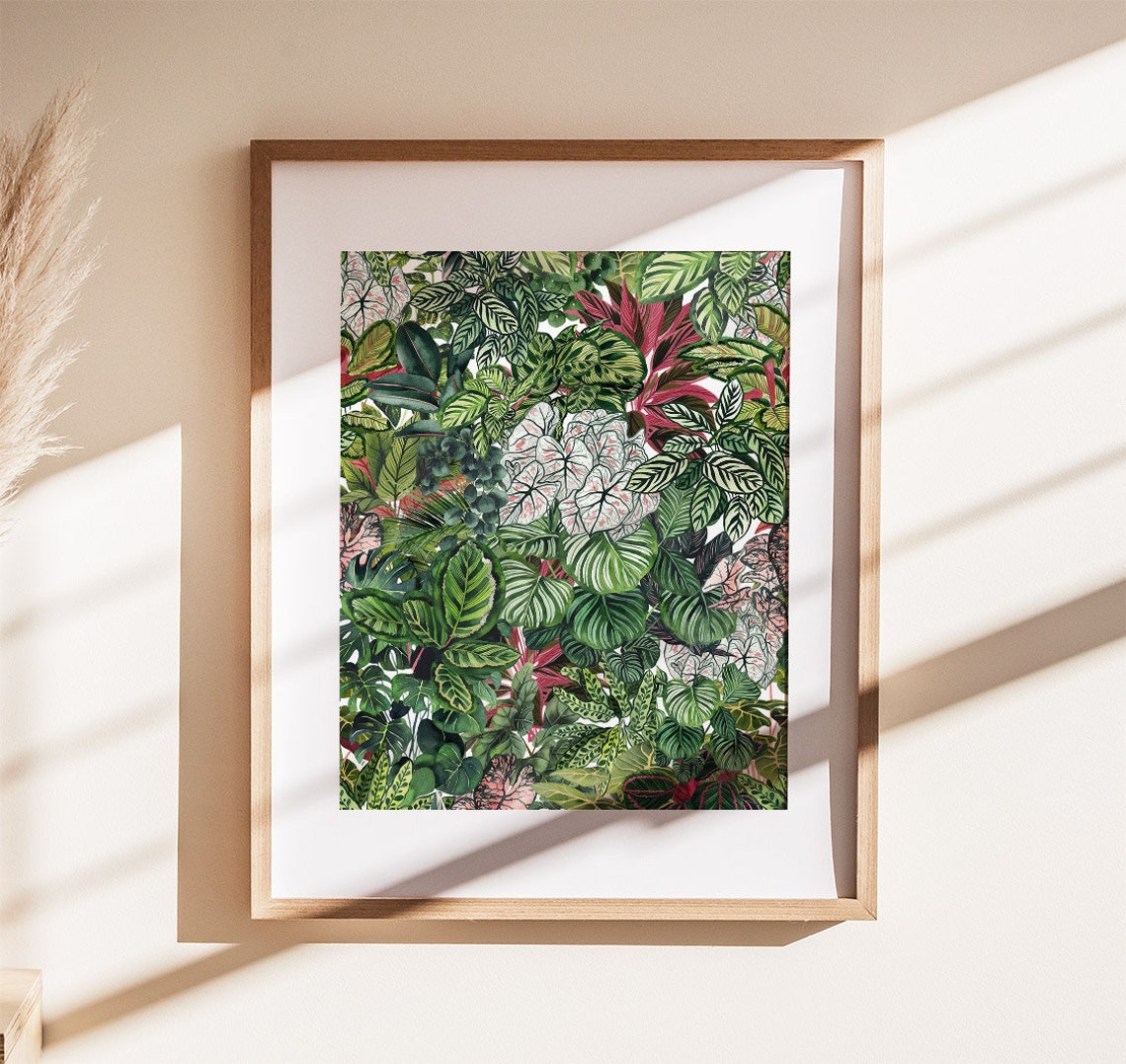 Urban Jungle Pink Caladium Tropical Foliage Botanical Poster
