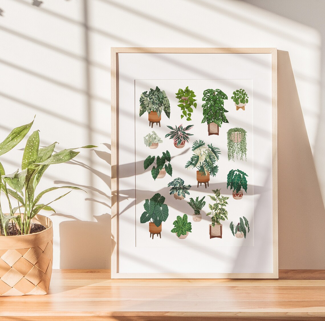Sixteen Houseplants Grid Collector Botanical Illustration Art Print - Image 3