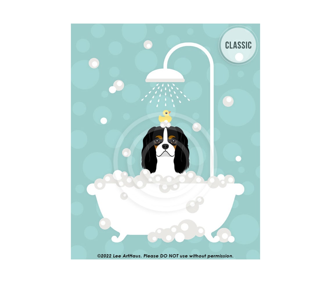 Cavalier King Charles Spaniel Bubble Bath Shower Teal Bathroom Poster