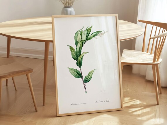 Smilacina Treacleberry Green Foliage Vintage Botanical Poster
