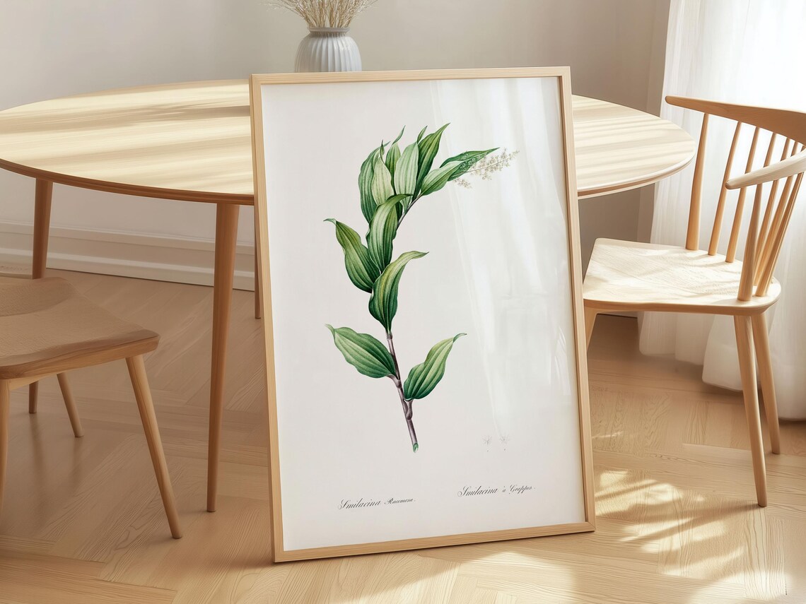 Pierrejoseph Redout Botanical Art Print Vintage Treacleberry Canvas