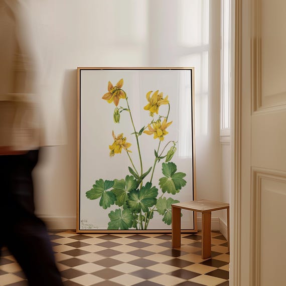 Mary Vaux Walcott Lemon Columbine Art Print Vintage Floral Canvas