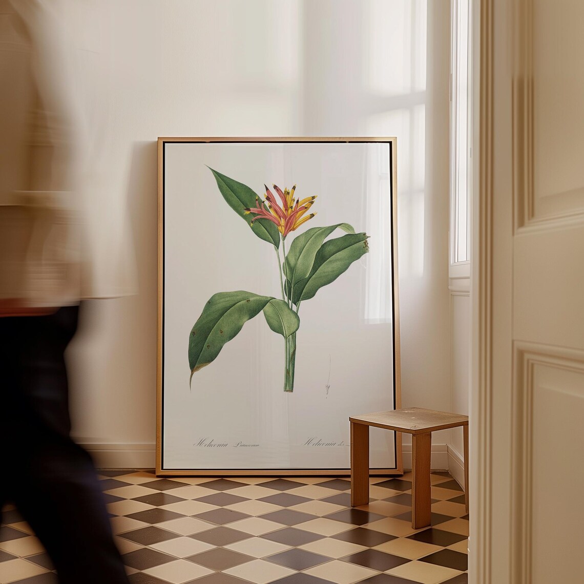 Pierrejoseph Redout Floral Art Print Vintage Botanical Canvas