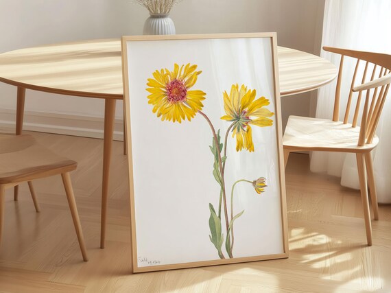 Mary Vaux Walcott Gaillardia Blanket Flower Vintage Botanical Poster