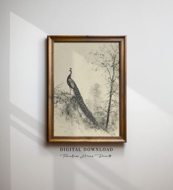 Vintage Peacock Sketch Bird Neutral Print Antique Animal Drawing Wall Art Moody Decor