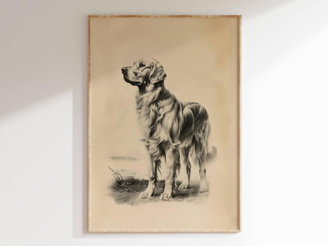 Golden Retriever Antique Dog Breed Sketch Portrait Wall Art Print