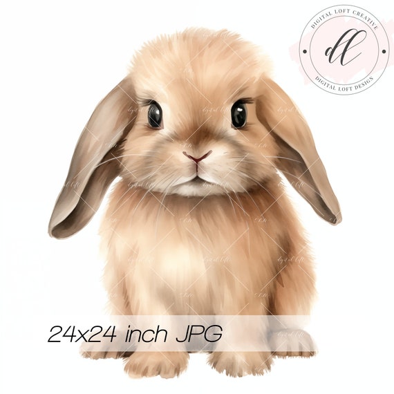 Cute Bunny Art Print Fluffy Rabbit Illustration Animal Wall Decor Nursery Artwork Pet Lover Gift Idea Home Decor
