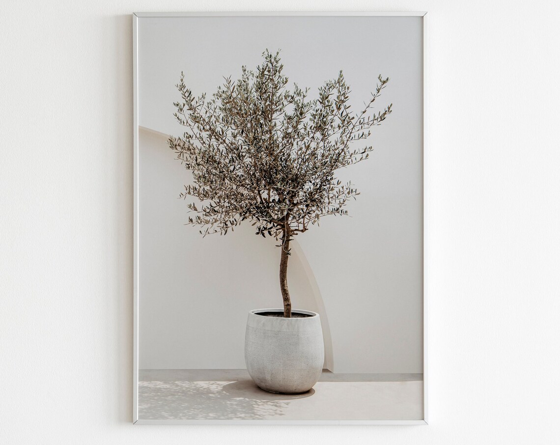 Olive Tree Greece and Italy Mediterranean Travel Poster