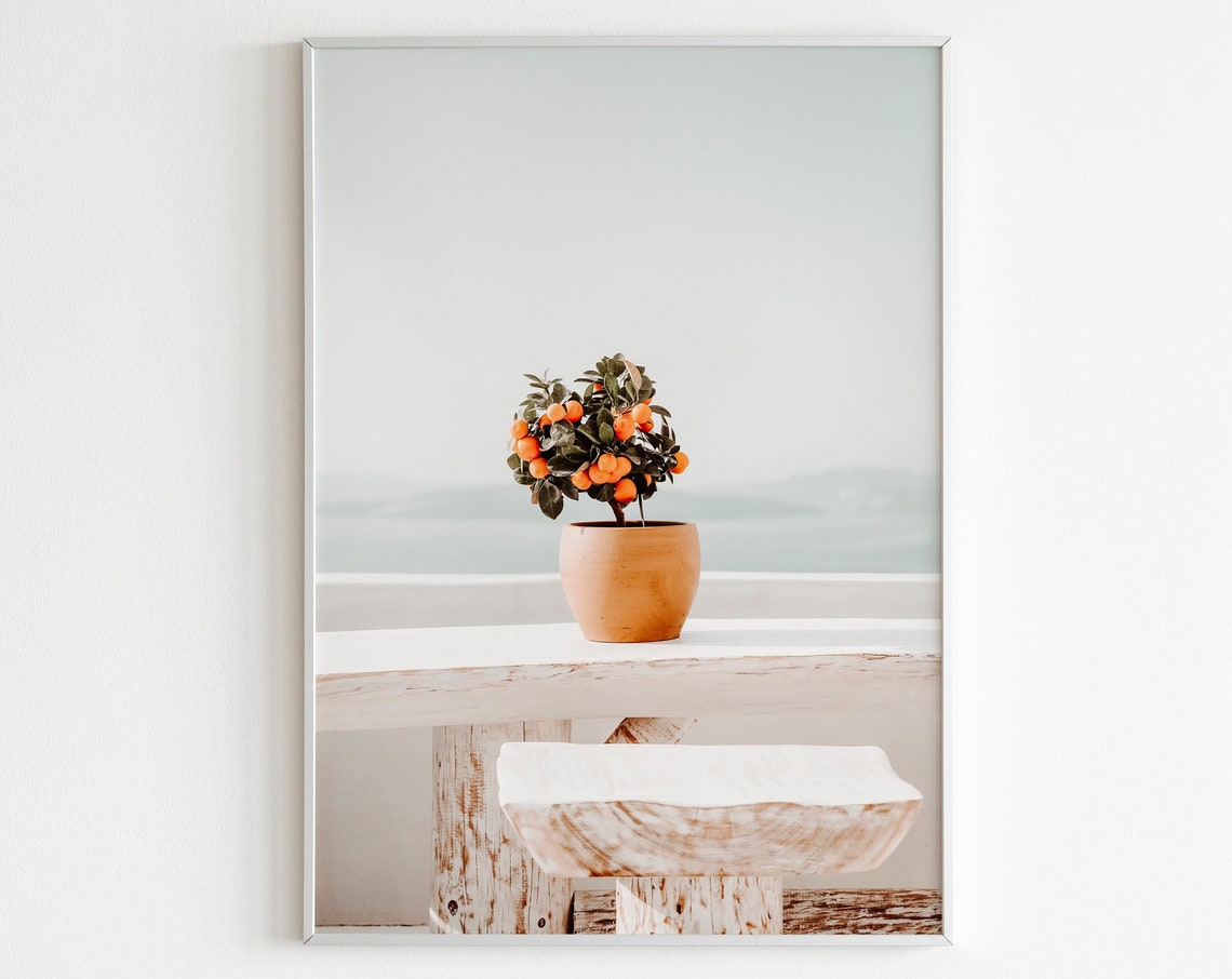 Potted Orange Tree On White Terrace Overlooking Sea Wall Art