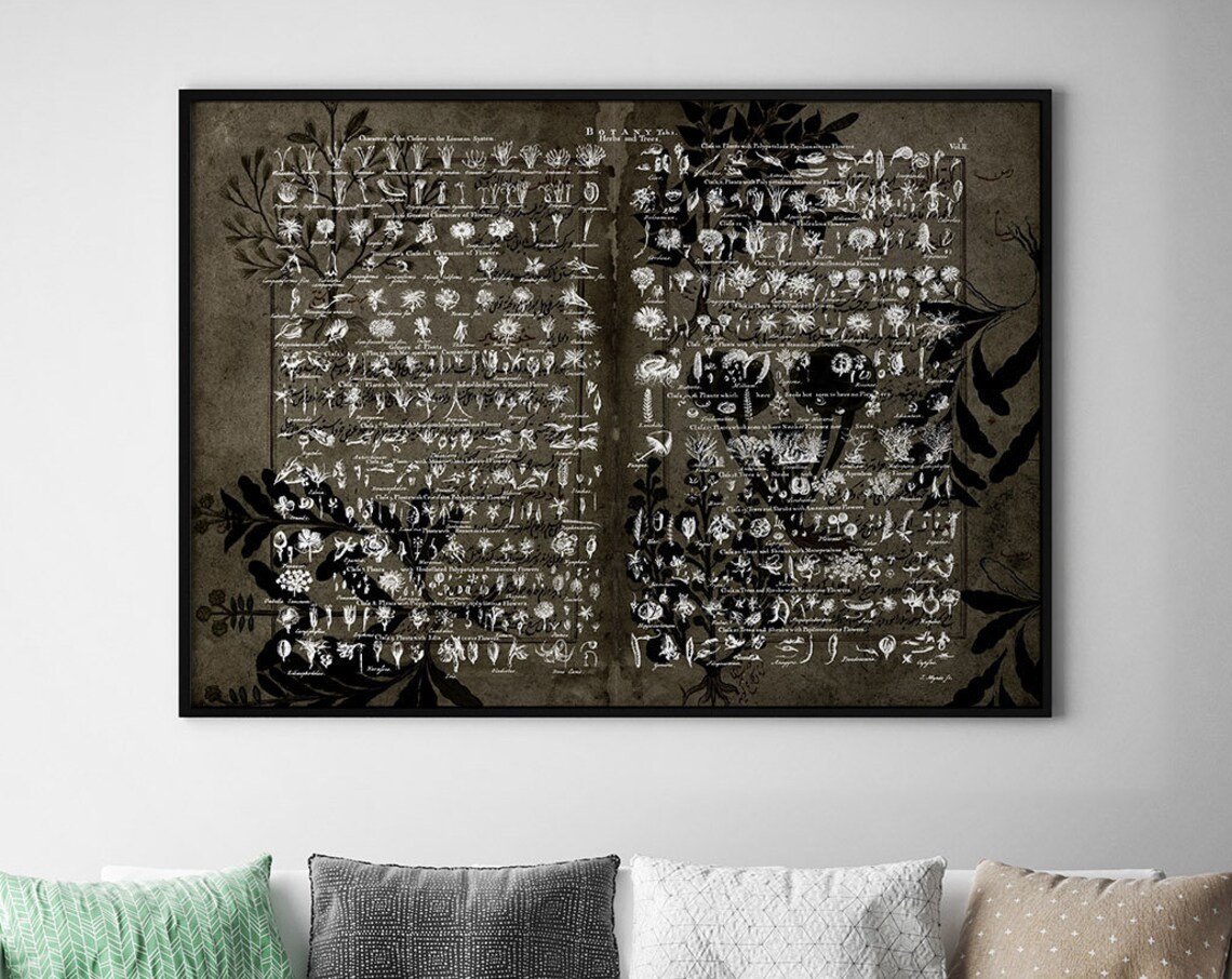 Botanical Wall Chart Antique Print, Herb Art