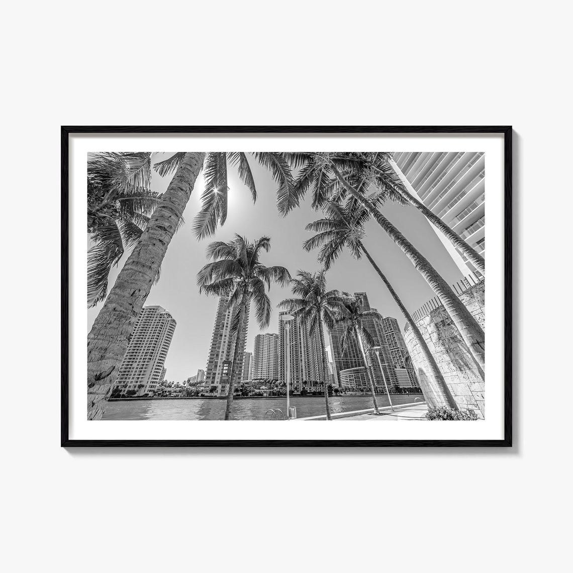 Miami Skyline Black and White Palm Trees Waterfront Photo Poster