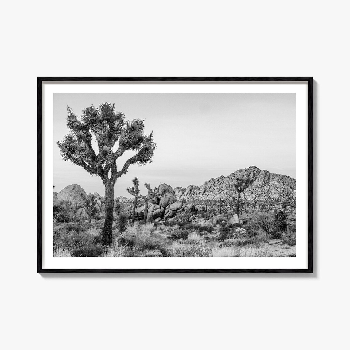 Joshua Tree National Park Art Wall Poster