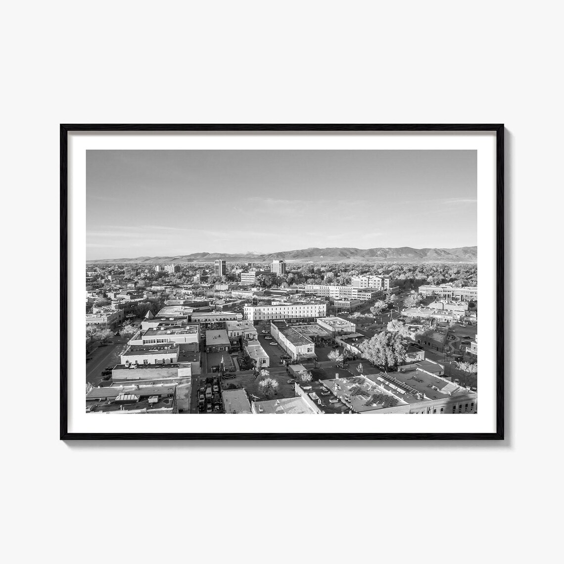 Fort Collins Colorado Downtown Aerial Black and White Photography Poster