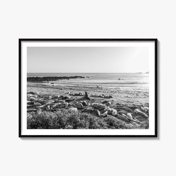 Seal Beach Black And White Poster Photography Print Wall Travel Map