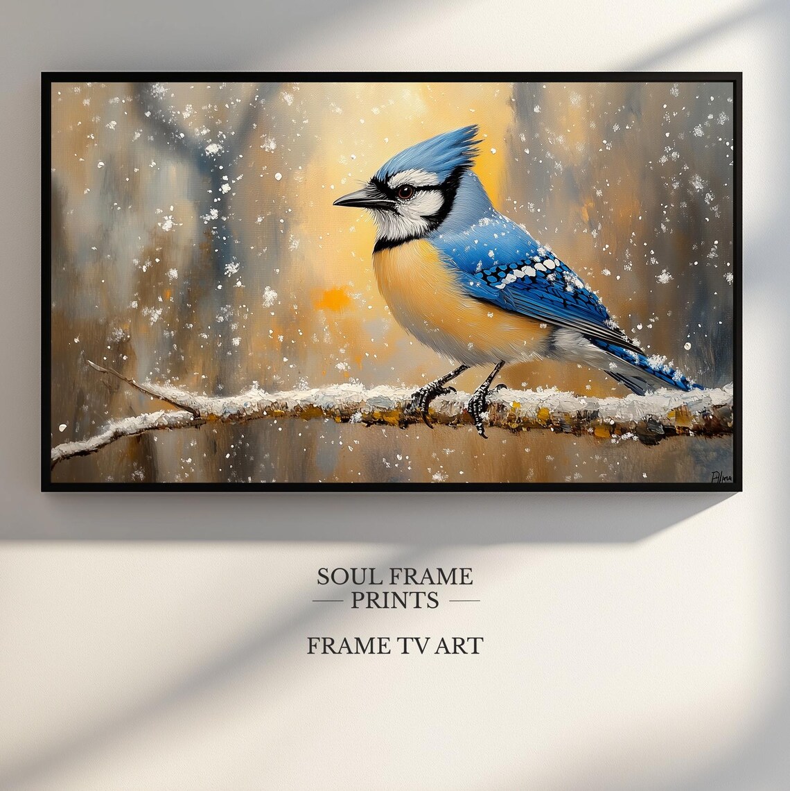Blue Jay Perched on Snowy Winter Branch Holiday Painting Poster