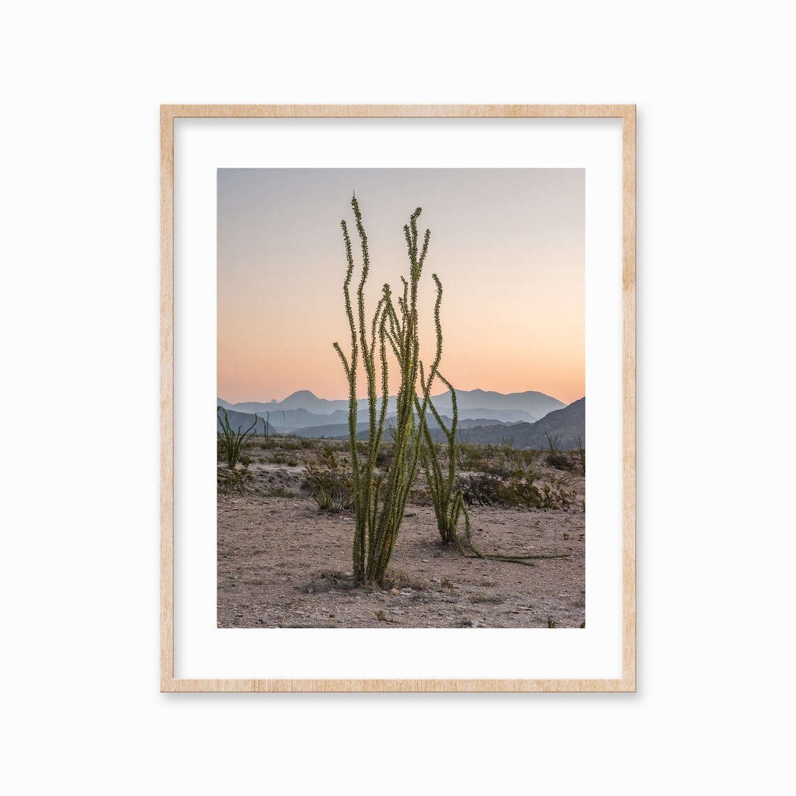 Desert Travel Poster, Texas Boho Cactus Art