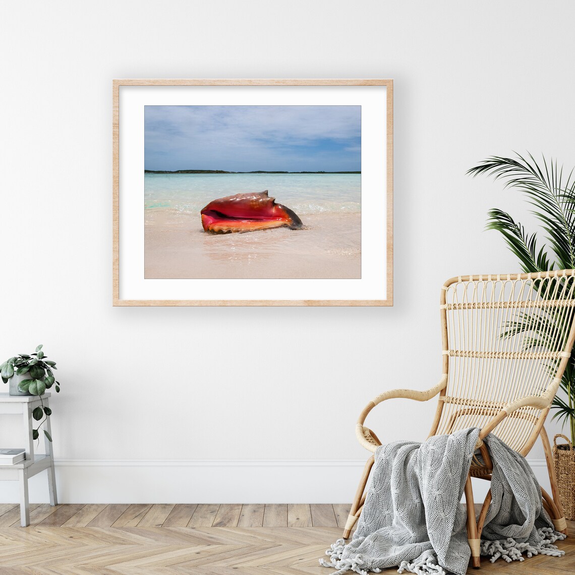 Seashell Print, Bahamas Conch Shell Travel Poster - Image 3