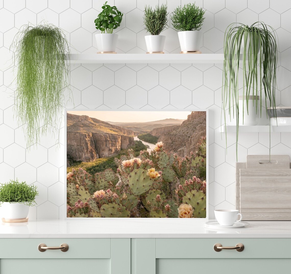Blooming Prickly Pear Cactus Desert Canyon Golden Hour Photo Poster - Image 2