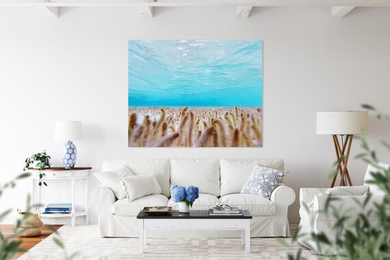Underwater Seagrass Field Turquoise Water Serene Photo Poster