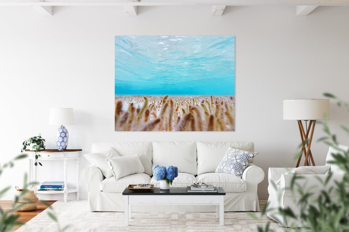 Underwater Seagrass Field Turquoise Water Serene Photo Poster