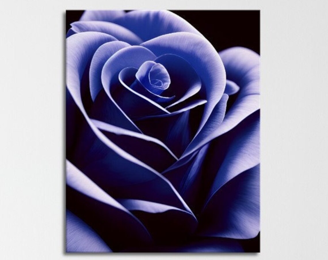 Indigo Rose Macro Dark Dramatic Botanical Flower Close Up Art Poster