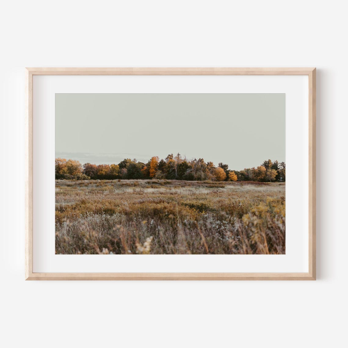 Autumn Meadow Golden Field Fall Foliage Landscape Scene Poster