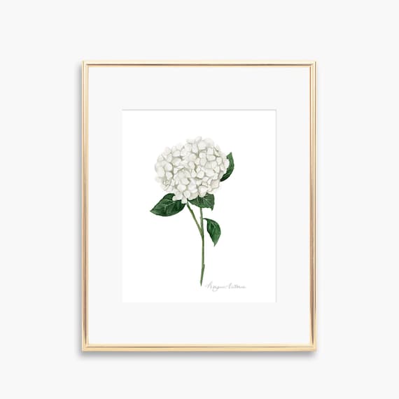 Hydrangea Watercolor Art Print, Floral Wall Decor