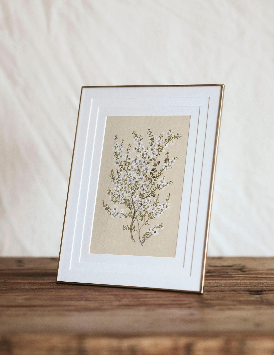 Vintage Botanical White Flower, French Country Art Print - Image 3