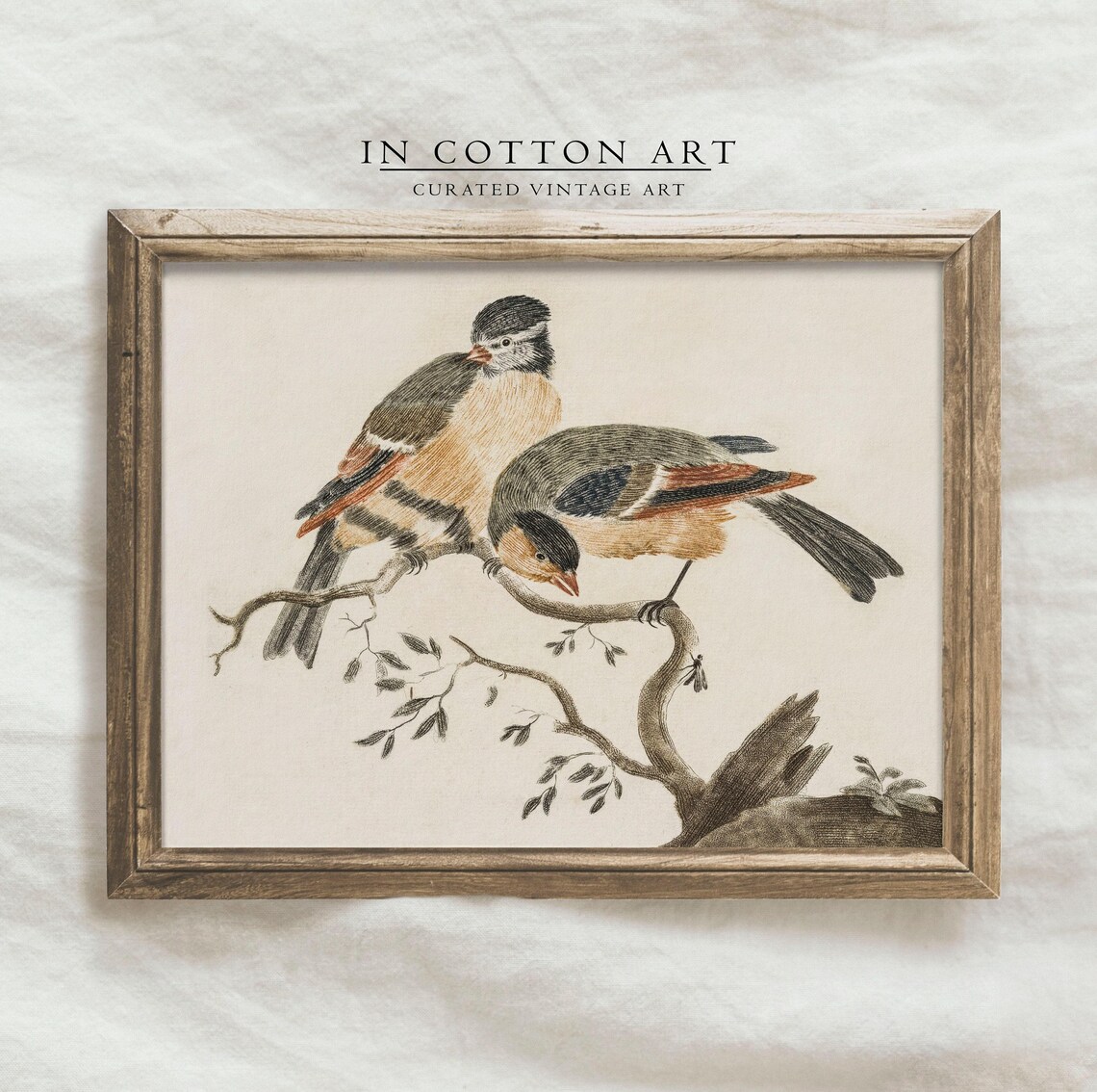 Vintage Bird Nursery Art Print, Antique Farmhouse - Image 4