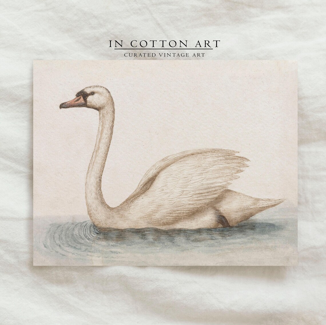 Vintage Swan Painting, French Country Nursery Art Print