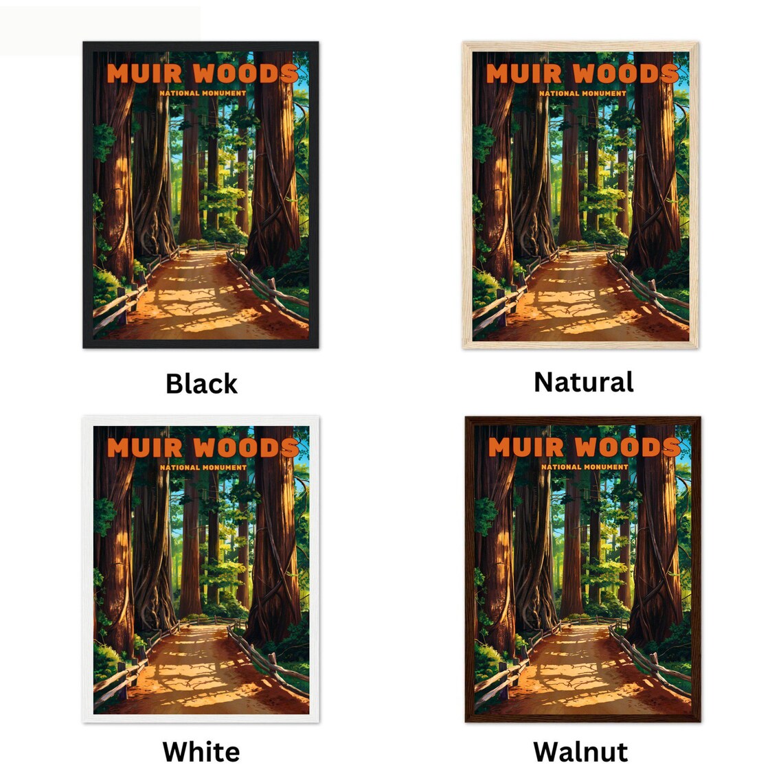 Muir Woods National Monument Redwood Cathedral Path Art Poster - Image 3